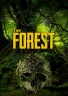 Horror&nbsp;The Forest